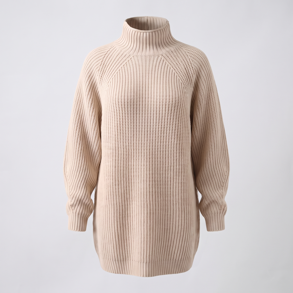 FLORIANA COSY ROLL-NECK DRESS
